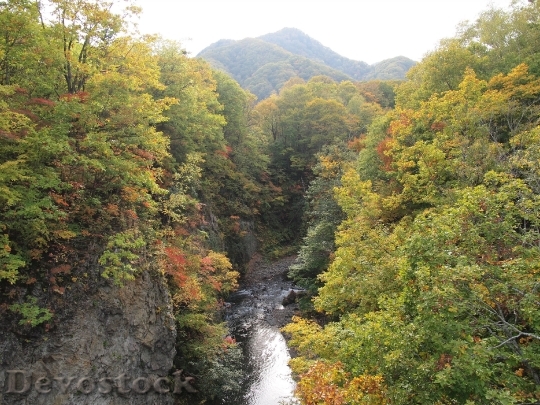 Devostock Autumnal Leaves Valley Landscape