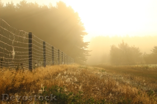 Devostock Away Fog Fence Trees