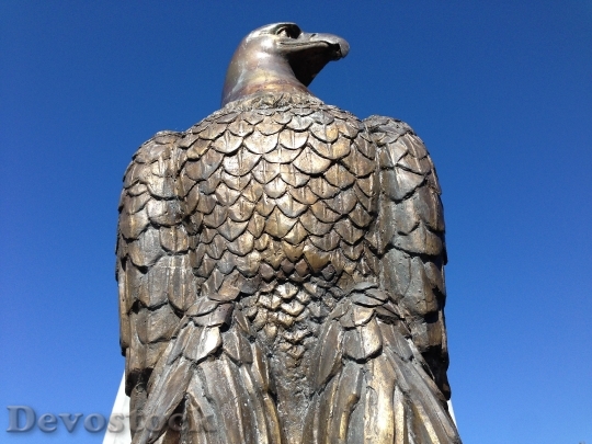 Devostock Bald Eagle Eagle Bronze 0