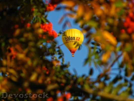 Devostock Balloon Colorful Autumn Nature