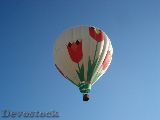 Devostock Balloon Sky Tulips 600064
