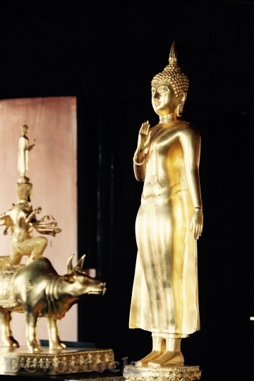 Devostock Bangkok Buddha Gold Meditation 11