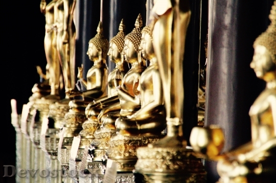 Devostock Bangkok Buddha Gold Meditation 15