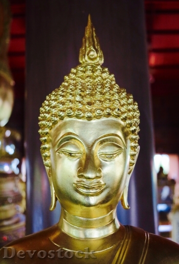 Devostock Bangkok Buddha Gold Meditation 24