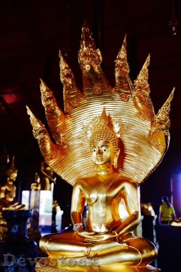 Devostock Bangkok Buddha Gold Meditation 3