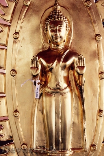 Devostock Bangkok Buddha Gold Meditation 4