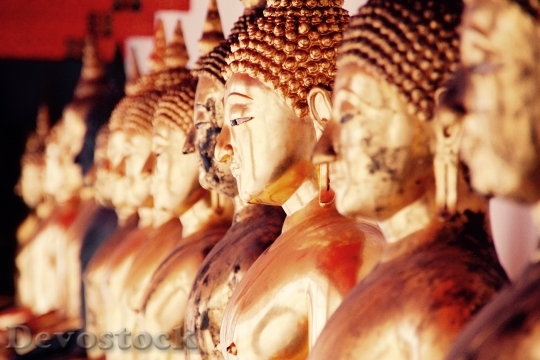 Devostock Bangkok Buddha Gold Meditation 50