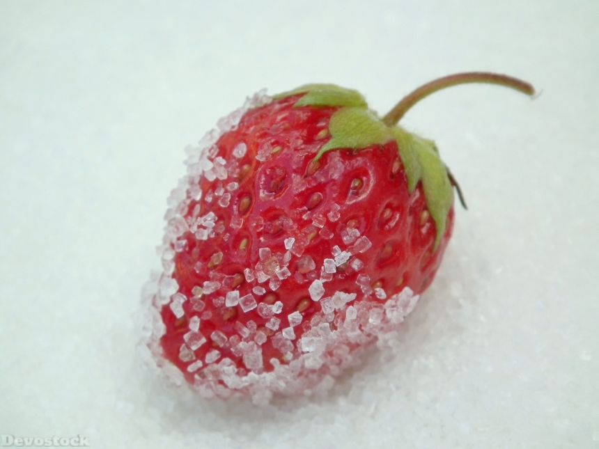 Devostock Berry Strawberry Red 204831