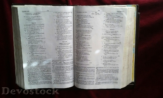 Devostock Bible Faith Book Holy