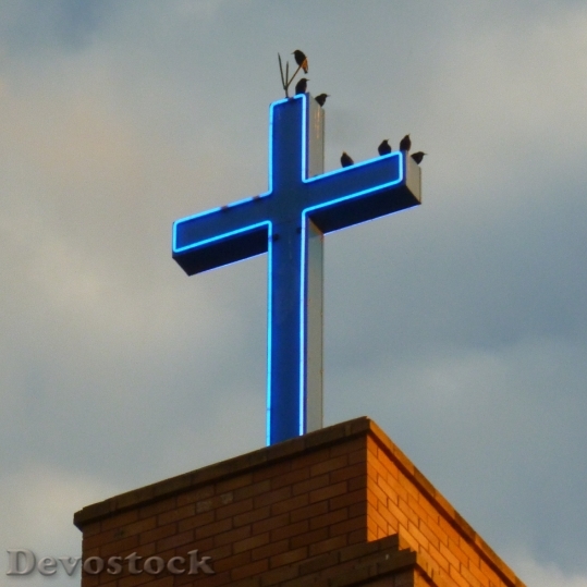 Devostock Birds Cross Steeple Church