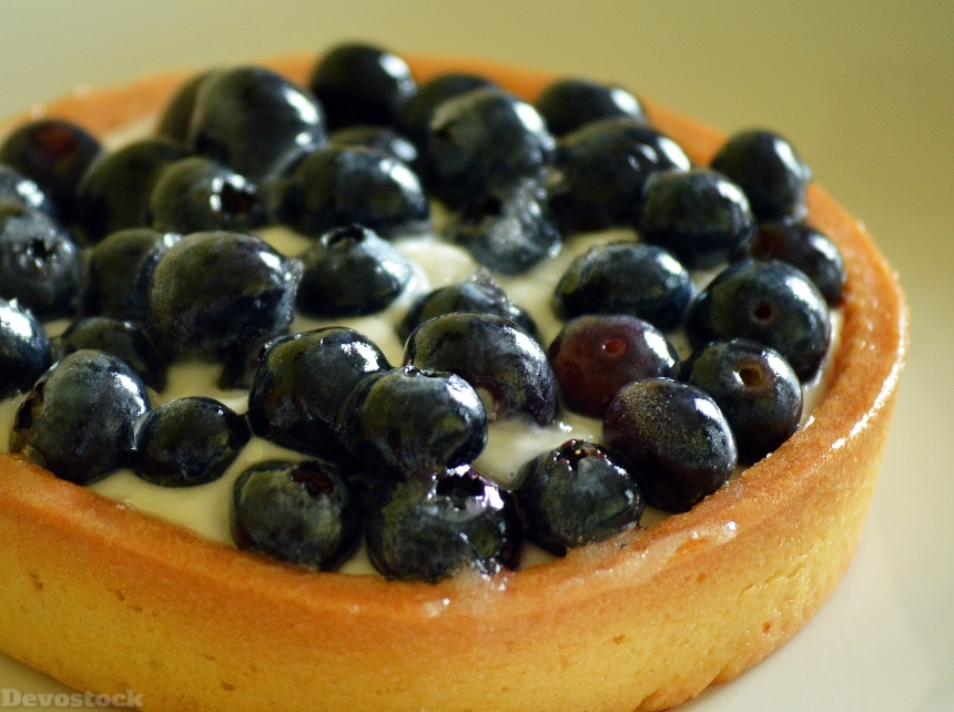 Devostock Blueberry Torte Dessert Pastry