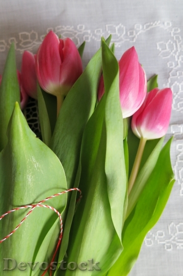 Devostock Bouquet Tulips Pictures Flowers