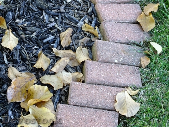 Devostock Bricks Autumn Fall Mulch