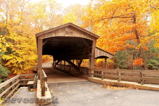 Devostock Bridge Covered Bridge Autumn 0