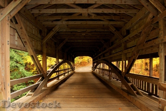 Devostock Bridge Covered Bridge Forest