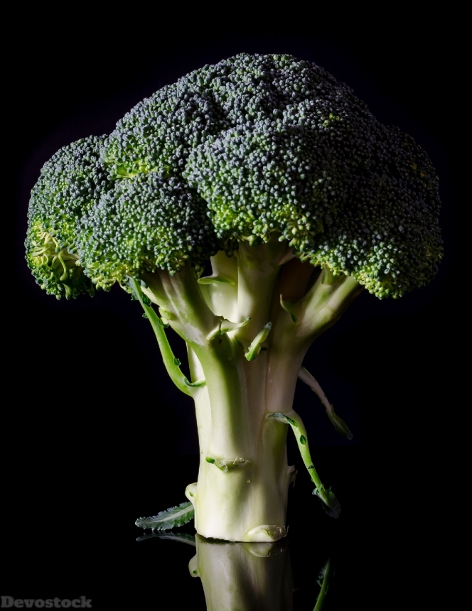 Devostock Broccoli Fresh Food Healthy