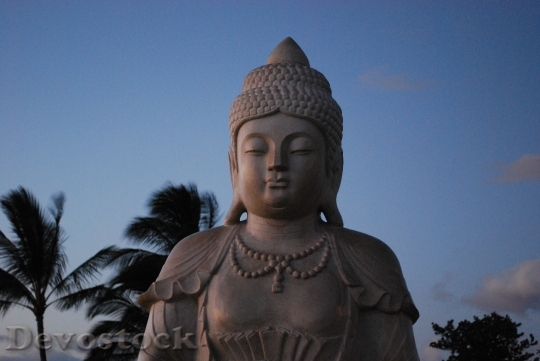 Devostock Buddha Hawaii Statue Carving