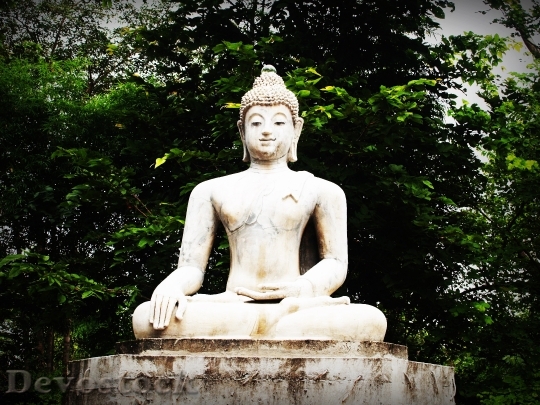 Devostock Buddha India Mind Prayer 0