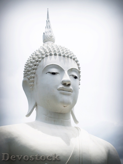 Devostock Buddha India Mind Prayer 5