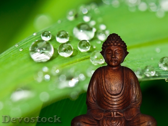 Devostock Buddha Meditation Fig Rest