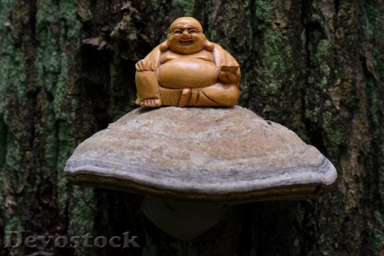 Devostock Buddha Meditation Spirituality Zen 0