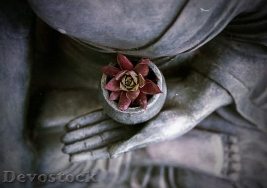 Devostock Buddha Meditation Statue Religion 5