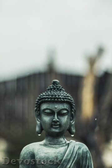 Devostock Buddha Rain Buddhism Sacred