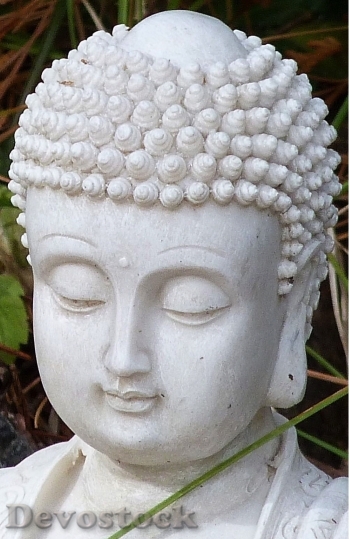 Devostock Buddha Religious Spiritual Buddhism