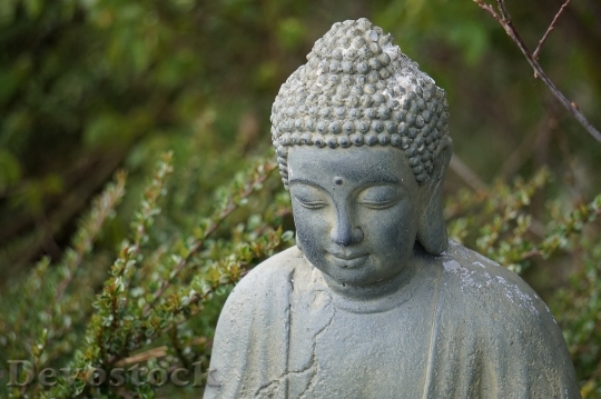Devostock Buddha Sitting Portrait Religion