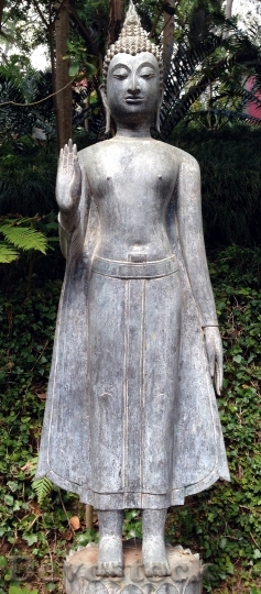 Devostock Buddha Statue Sculpture Fig