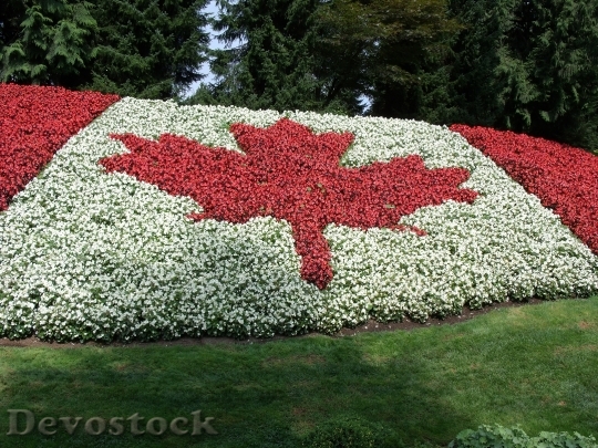 Devostock Canada Flag Minter Gardens