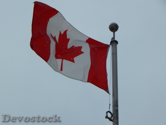 Devostock Canadian Flag Winter Snowing