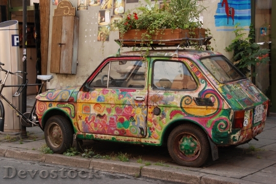 Devostock Car Decoration Painted Plant