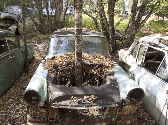 Devostock Car Scrap Moss Old 0