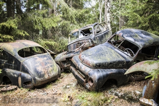 Devostock Car Scrap Moss Old
