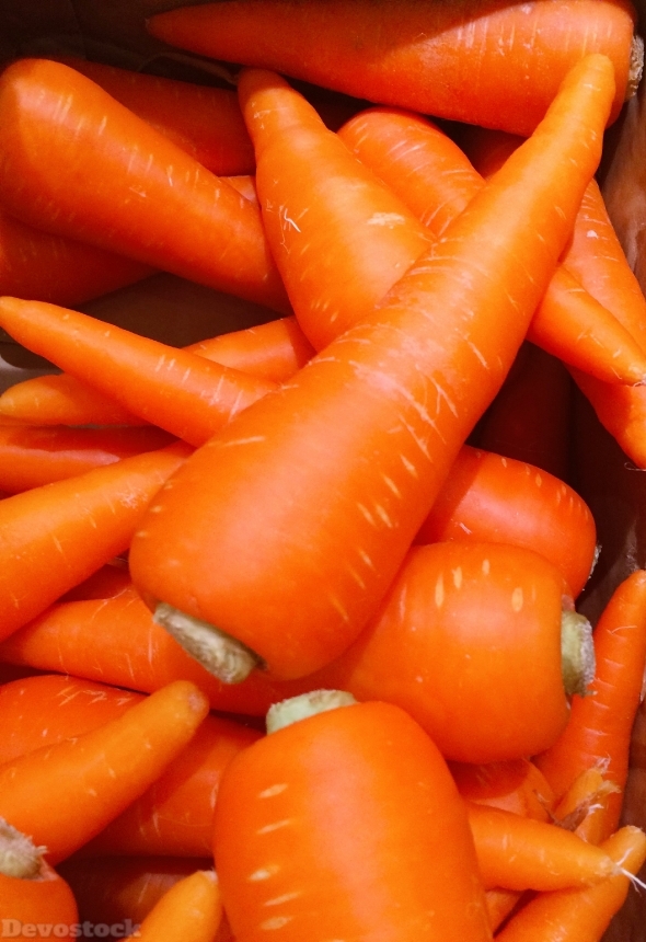 Devostock Carrot Orange Seiyu Ltd