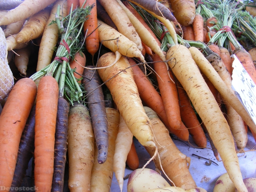 Devostock Carrots Fruits Veggies Roots