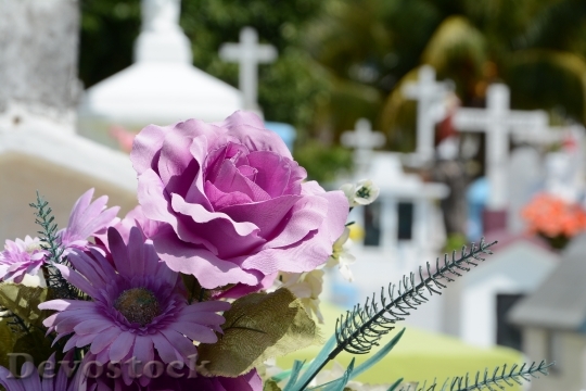 Devostock Cementerio Flor Cemetery Death
