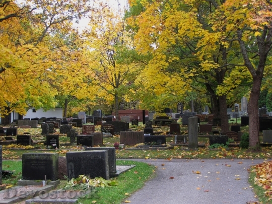 Devostock Cemetery Autumn Fall Colors