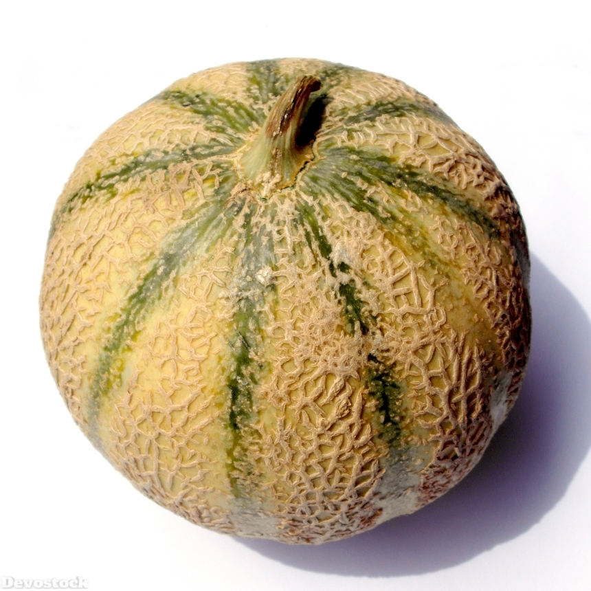 Devostock Charentais Melon Melon Charentais