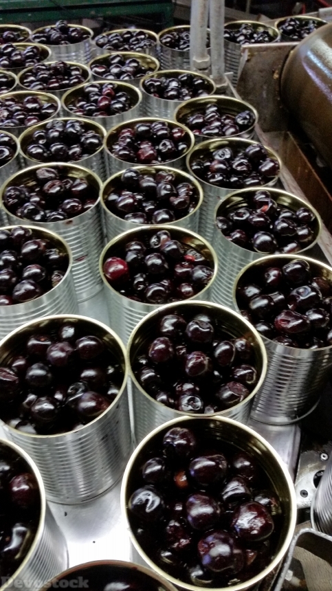 Devostock Cherry Produce Food Canning