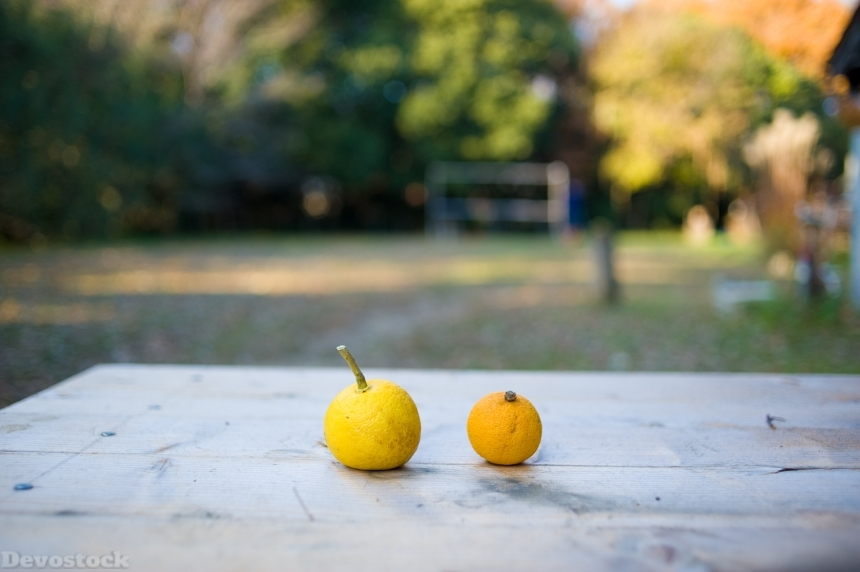 Devostock Citrus Fruits Real Citron