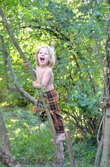 Devostock Climbing Kid Tree Nature