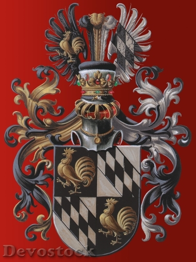 Devostock Coat Arms European Tradition 1