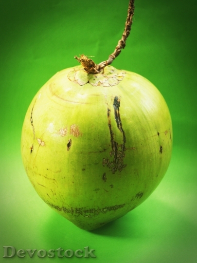 Devostock Coconut Green White Fruit 1