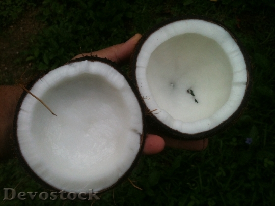 Devostock Coconut Oil White Palm