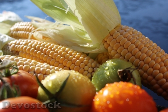 Devostock Corn Corn On Cob 29