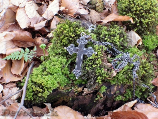 Devostock Cross Crucifix Moss Root