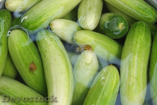 Devostock Cucumber Water Green Nutrition
