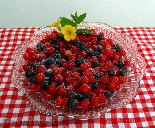 Devostock Currant Berries Fruits Red